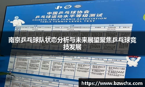 南京乒乓球队状态分析与未来展望聚焦乒乓球竞技发展