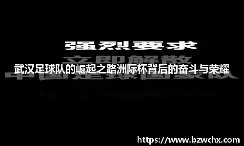 武汉足球队的崛起之路洲际杯背后的奋斗与荣耀