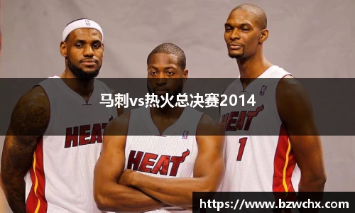 马刺vs热火总决赛2014