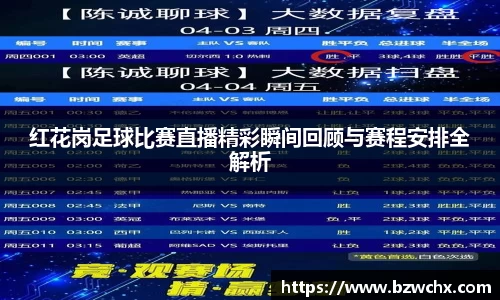 红花岗足球比赛直播精彩瞬间回顾与赛程安排全解析