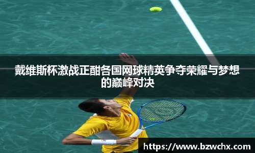 戴维斯杯激战正酣各国网球精英争夺荣耀与梦想的巅峰对决